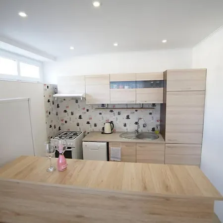 דירה Rozlahly Apartman V Centre Martina מרטין